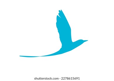 Blue silhouette of the flying white-tailed tropicbird on white background. Vector illustration.