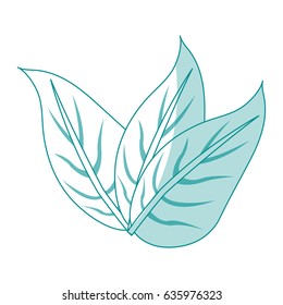 blue silhouette image set leaves with ramifications