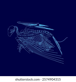 Blue skeleton of a bird with a long tail. The skeleton is drawn in blue