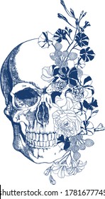 Blue skull with flowers vintage style illustration