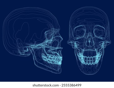 Blue skull with line on abstract background. Wireframe space low poly guard with lines. Connection structure. Vector background. Front, side view. 3D