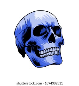 Blue skull vector illustration hand drawn