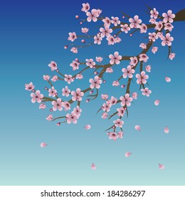 Blue sky background with branch of pink cherry blossom.