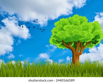 blue sky background garden grass for birds
