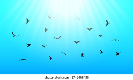 Blue Sky Background Silhouette With Birds.
