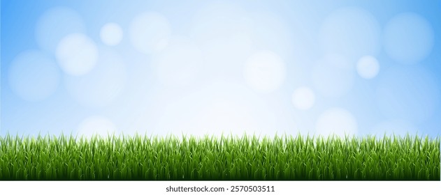 Blue Sky And Blur And Green Grass Frame , Vector Illustration