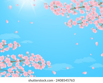 Blue sky and cherry blossoms in full bloom frame background