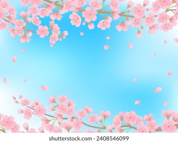 Blue sky and cherry blossoms in full bloom frame background