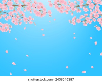 Blue sky and cherry blossoms in full bloom frame background