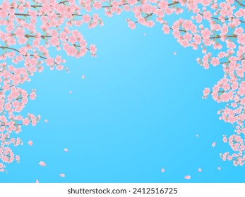 Blue sky and cherry blossoms in full bloom frame background