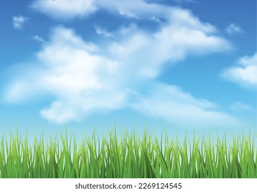 Blue sky with clouds ans grass, nature background. Vector illustrator.