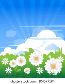 Blue sky with clouds in clear day and chamomile