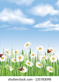 Blue sky with clouds and flower chamomile field. Vector summer background.