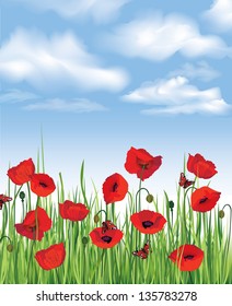 Blue sky with clouds and flower poppy.   Nature background. Floral wallpaper, Summer landscape
