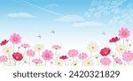 Blue sky cosmos field_image background (2:1)