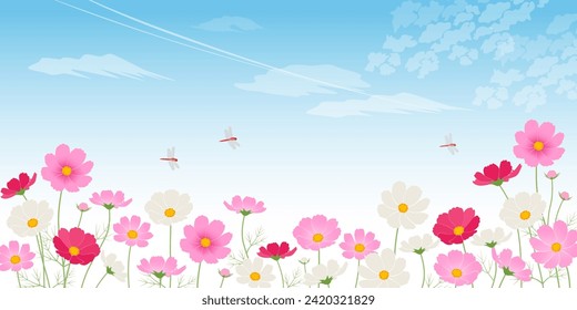 Blue sky cosmos field_image background (2:1)