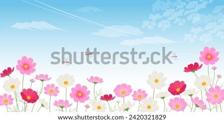 Blue sky cosmos field_image background (2:1)
