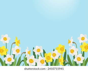 Blue sky and daffodil background