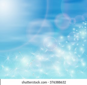 Blue sky and dandelion seeds. Vector illustration.