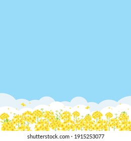 Blue sky and field of rape blossoms background illustration  (square)