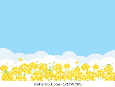Cielo azul y campo de la violación florecimiento ilustración de fondo (longitud lateral)