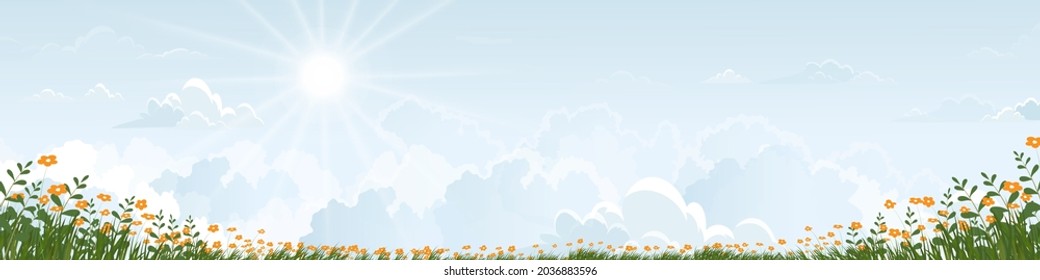 Blue sky with fluffy clouds and daizy fields in sunny day Summer.Holizon Spring rural landscap with orange flowers fields, green grass and white Cloudy. Vector cartoon Eco friendly in village