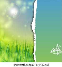 blue sky, green grass