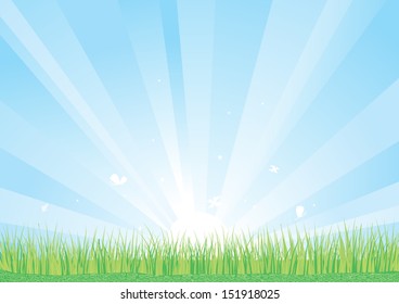 Blue sky and green grass background.Vector nature illustration