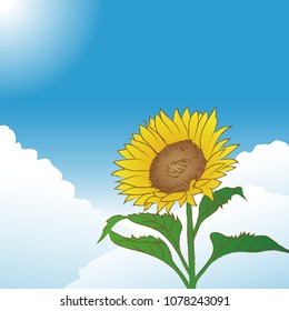Blue sky and hand drawn sketch sunflower, image of summer