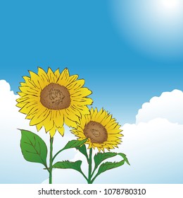 Blue sky and hand drawn sketch sunflowers, image of summer