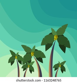 Blue Sky Landscape With Coconut Trees