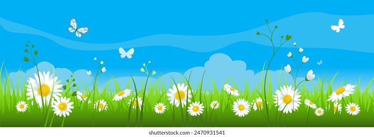 Blue sky and summer meadow banner with chamomile and grass. Place for text. Banner for design flyers, banners, leaflets, posters, advertising, sale