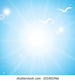 Blue sky with sun and birds