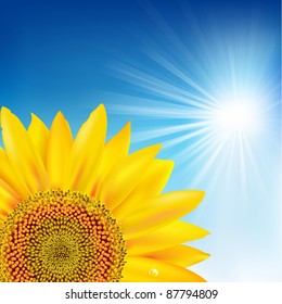 Blue Sky And Sunflower, Vector Illustration