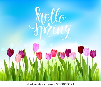 Blue sky Tulip spring banner