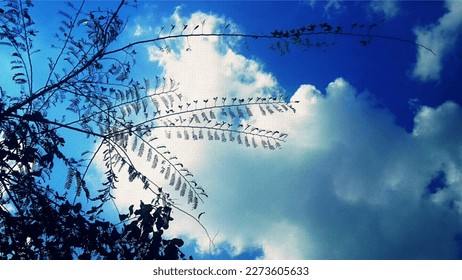Blue Sky and White Clouds with Tamarind Tree Branches | Paper Bumps Texture