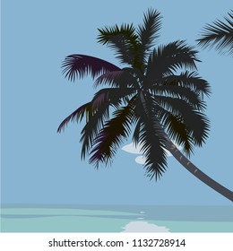 Blue sky,Coconut tree on the beach,Seascape ,Background.