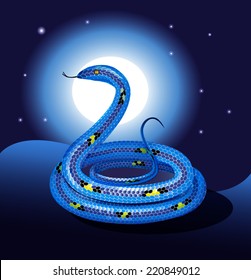 Blue snake coiled up on the the night sky background and the moon. Vector illustration.
