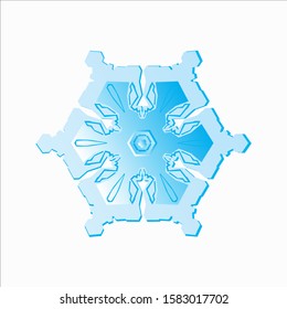 Blue Snowflake Vector Illustration on White Background - Christmas and Winter Element