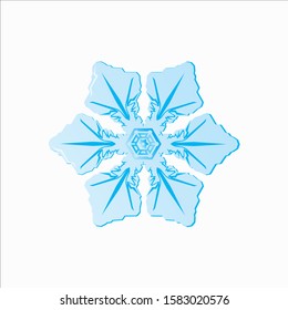 Blue Snowflake Vector Illustration on White Background - Christmas and Winter Element