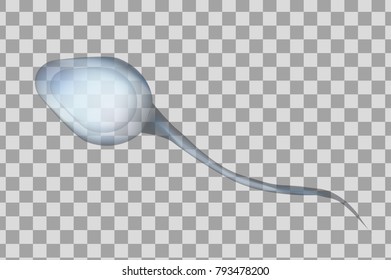 Blue sperm cell vector illustration. 3d spermatozoid isolated on transparent background. Design medical and science template.