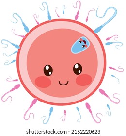 Blue sperm winner on egg cell fertilizing. Baby boy will be born concept