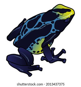 Blue spotted poison dart frog. Little frog. Tropical amphibia svg