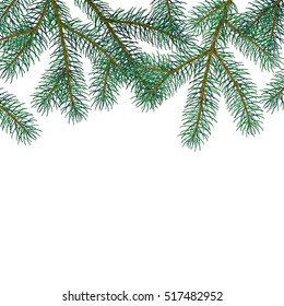 Blue Spruce Branches. Hand drawn. vector illustration. Design element on white background for winter, nature designs.