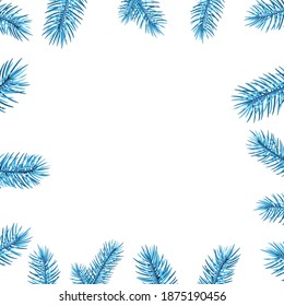 Blue spruce branches square frame. Winter decoration. Vector illustration.