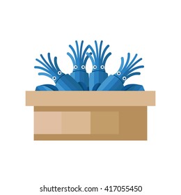 blue Squid on tray wood 