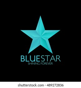Blue Star logo design template. Star vector logo design branding corporate identity. Simple modern star vector .