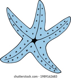 Blaue Seesterne auf weißem Hintergrund. Vektorbild.
