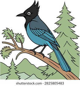 Blue Steller's Jay and