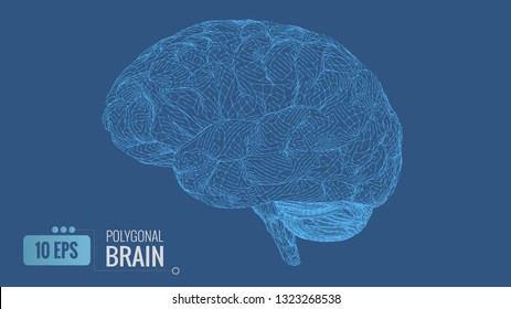 Blue stylized polygonal wireframe brain isolated on deep blue background